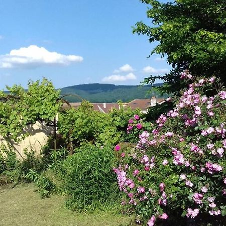 Vila Jardin De Cure Cluny Exteriér fotografie