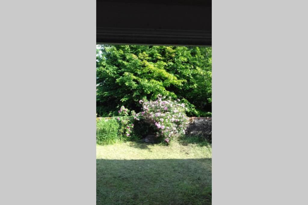 Vila Jardin De Cure Cluny Exteriér fotografie